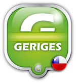 Geriges Software para geriatricos